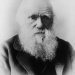 Darwin’s “Missing Link” that could revolutionise your team
